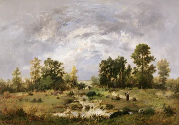 Wooded landscape